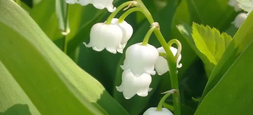 Nouvelle-Aquitaine : plusieurs rassemblements organisés ce 1er mai