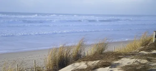 Gironde : un touriste meurt noyé sur une plage non surveillée