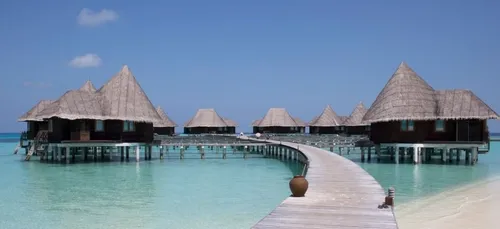 Job de rêve : partez aux Maldives pour une mission exceptionnelle !