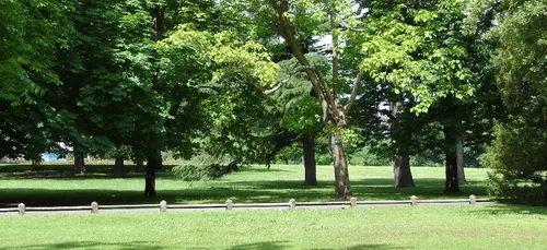 Tempête Miguel en Gironde : les parcs et cimetières fermés à...