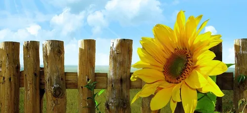 Canicule : 21 départements placés en vigilance orange dès lundi