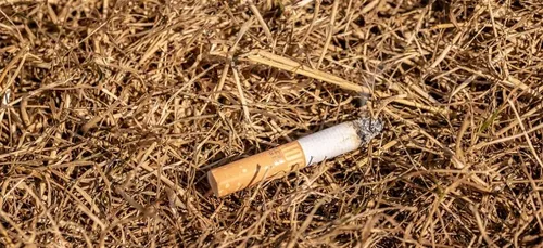 Eysines : un incendie sur le terre-plein central de la rocade...