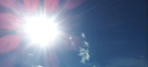 Ils font cuire des biscuits dans une voiture pour sensibiliser sur...