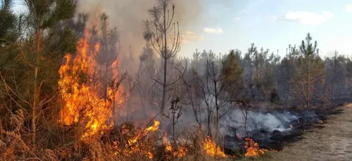 Nouvelle-Aquitaine : plusieurs incendies de végétation en cours