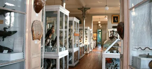 Bordeaux : le Muséum a accueilli son cent millième visiteur