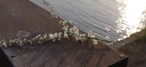 Bordeaux : 250 personnes rendent hommage à Steve