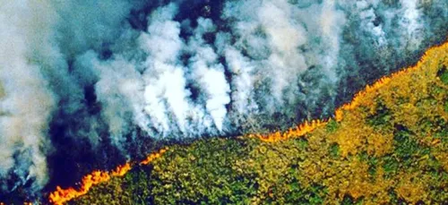 Incendies en Amazonie : quand les peoples diffusent de fausses photos