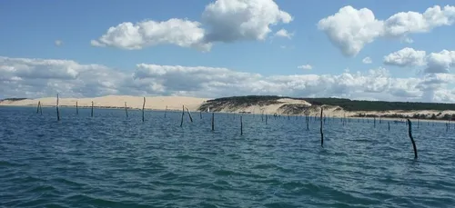 Gironde : un septuagénaire victime d’un malaise mortel au milieu du...