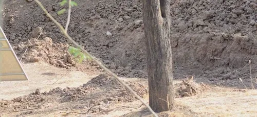 "Où est le léopard ?" : la photo qui rend absolument fous les...