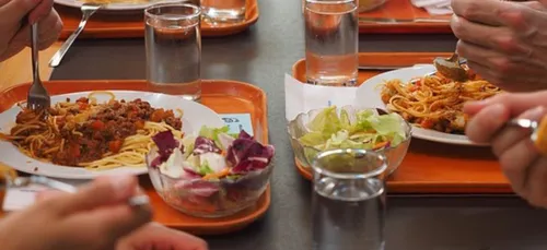 Bordeaux : pas de plastique dans les cantines