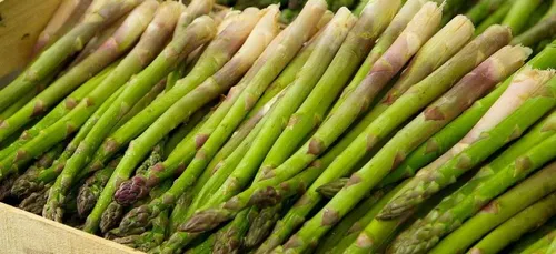 Bordeaux ouvre aussi des marchés en drive