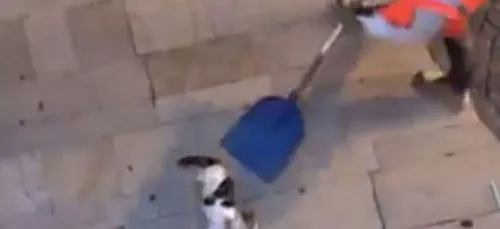 Un agent de propreté filmé en train de jeter un chat vivant à la...