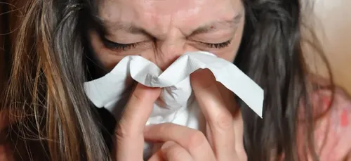 Allergies en Nouvelle-Aquitaine : alerte rouge aux pollens de...