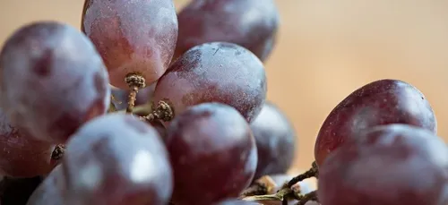 Il découvre avec stupeur une mygale dans sa barquette de raisins...