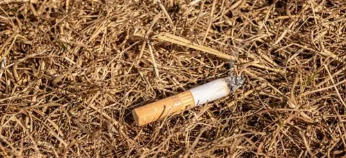 Gironde : passage en vigilance orange pour les feux de forêt