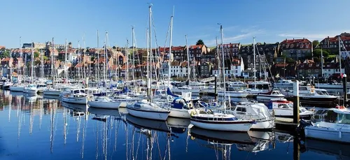 Elle lance un appel pour retrouver un bel inconnu rencontré sur un...