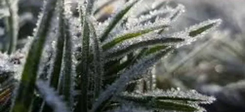 Le plan grand froid activé en Gironde et en Dordogne