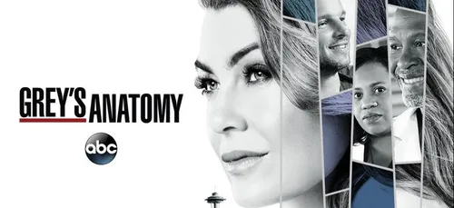 « Grey’s Anatomy » : un nouvel acteur rejoint le casting ! (Photo)