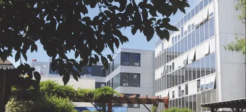 Bordeaux : la colère d’une femme atteinte d’un cancer contre le...