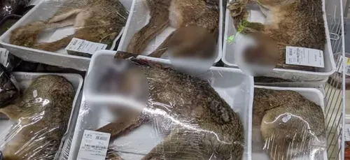 Des animaux entiers emballés sous vide au supermarché choquent les...