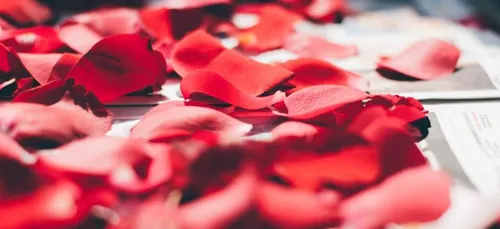 Dordogne : à Sarlat les messages d’amour s’affichent sur les...