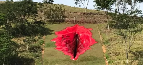 Une sculpture en forme de vulve géante sous le flot des critiques...