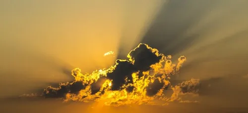 Il propose 500 000 dollars de récompense à la personne qui...