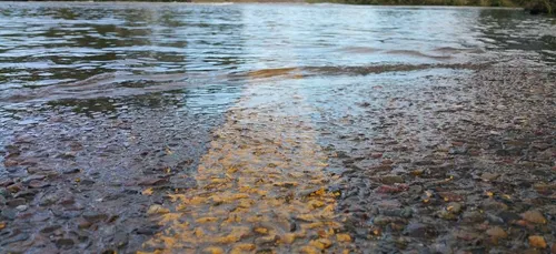 Grosse pagaille ce matin sur les routes de Gironde