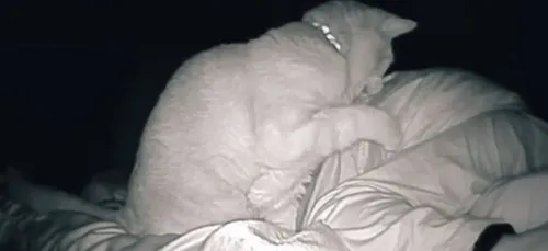 Fatiguée en permanence, elle installe une caméra dans sa chambre et...