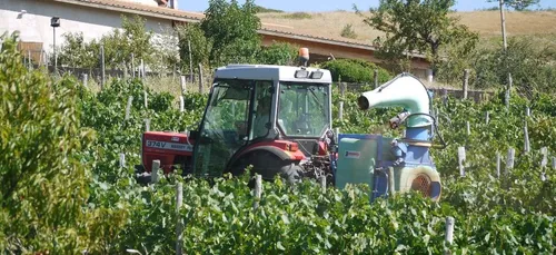 Blaye : les anti-pesticides se mobilisent pour nos enfants