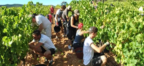 Gironde : c'est maintenant qu'on trouve un job pour cet été