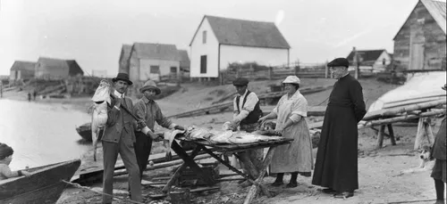 Bègles : l'affiche de la prochaine fête de la Morue dévoilée