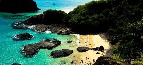 Au large du Brésil, une île où il est interdit d’accoucher