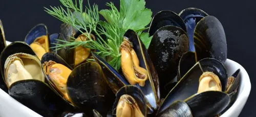 Pour booster votre libido : mangez des moules !