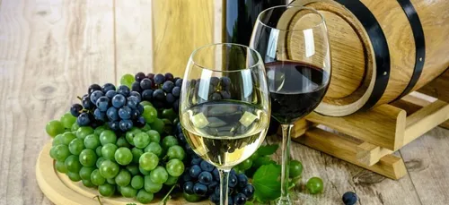 Bordeaux fête le vin