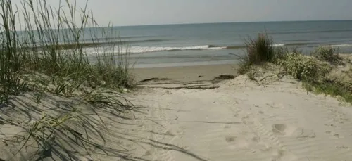 Nouvelle-Aquitaine : le naturisme rencontre un succès grandissant