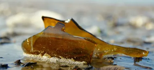 Bordeaux : 300 m3 de déchets après la finale de Coupe du Monde