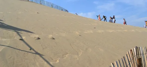 Gironde : la Dune du Pilat a reculé de quatre mètres cette année !