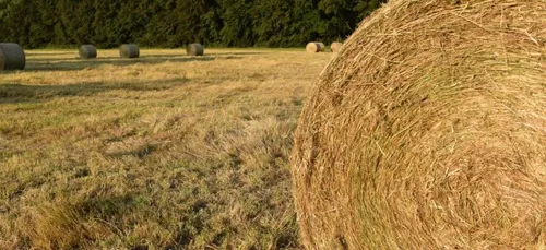 Gironde : deuxième édition de Paille et Ripaille à Langon