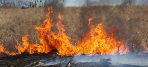 Nouvelle-Aquitaine : plusieurs hectares de forêts sont partis en fumée