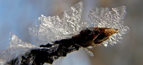 Nouvelle-Aquitaine : on s'organise pour faire face au froid