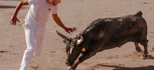 Bordeaux : le quartier de la Victoire est en fête jusqu'à jeudi soir