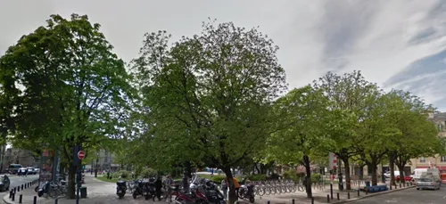 Bordeaux : du bruit pour les marronniers de la Place Gambetta