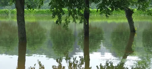 Gironde : l’état de catastrophe naturelle reconnu pour neuf communes