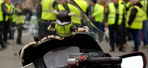 Gironde : les gilets jaunes s'organisent grâce à un site internet
