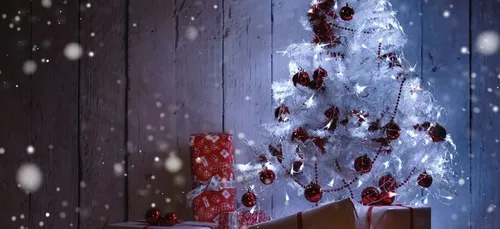 Nouvelle-Aquitaine : les conseils de l'Ademe pour passer un Noël...