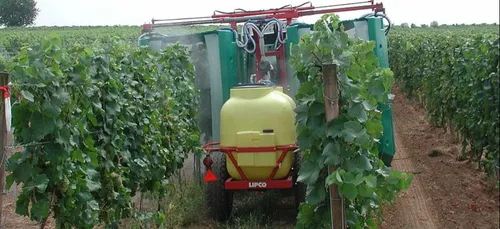 Bordeaux : les pesticides dans les vignes devant la justice