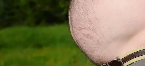 Plus on a un gros ventre, moins on a de cerveau !