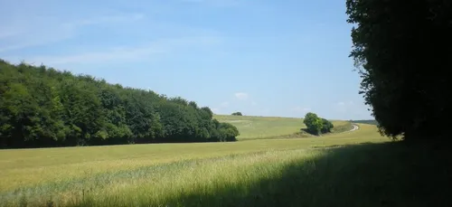 Nuits insolites en Gironde: les refuges périurbains ouvriront le...