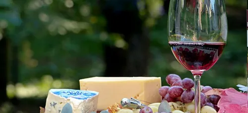 Un vigneron français organise « le plus grand apéro du monde »